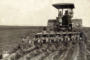 Plowing up the farmer