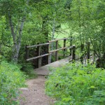 Bridge on the Trail