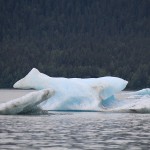 Whale Iceberg