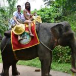 elephant-ride