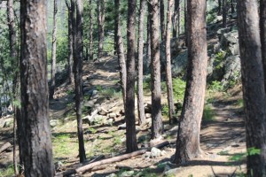 Sheridan Lake Trail