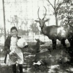 Aunt Laure and the deer